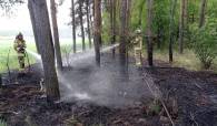 Pożar poszycia leśnego w Biadaszkach